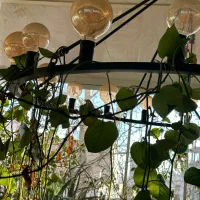 لوستر در حد نو