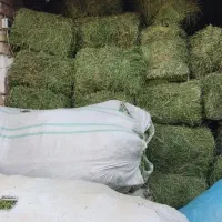 یونجه تمیز بدون رطوبت و علف تحویل