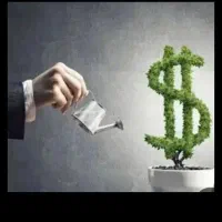 نیازمند سرمایه