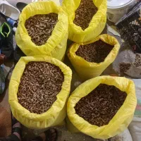 هسته خرما  سیلو قهوه