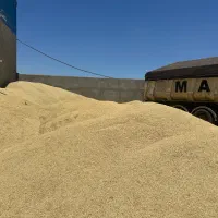 فروش جو داخلی بویین زهرا