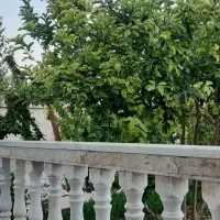 زمین-فروشی-جاده-بیدخت