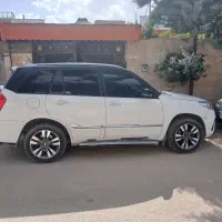 x33s