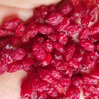 زرشک اعلا.قاینات