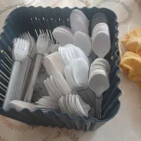 قاشق و چنگال یکبار مصرف