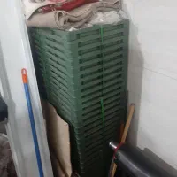 سینی نشا درجه یک