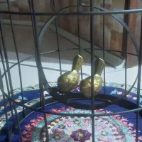 تزیینی|مجسمه، تندیس، ماکت|یاسوج, |دیوار