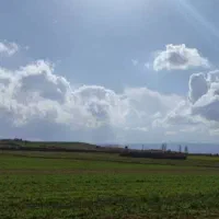زمینِ باغشهری ۱۰۰۰ متری قره چمن