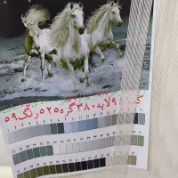 دار قالی به همراه چله کشی و ....