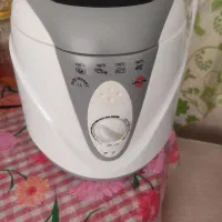 مینی سرخ کن