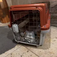 باکس نگهداری سگ و‌گربه