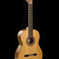 گیتار نقد و اقساط ، به قیمت تولیدی