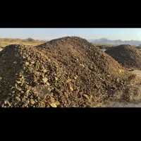 کود گوسفندی