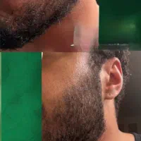 شیربه یالش مینازه مردب ریشش