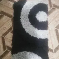دم دری شگی