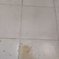 استخدام استاد کار جهت کاشیکاری و گچ کاری