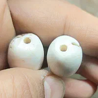 عطف بحری