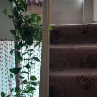 اجاره طبقه سوم ملک مستقلاتی