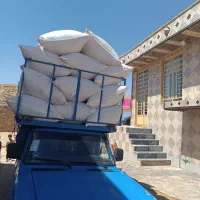 کاه