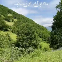 سیم کارت همراه اول