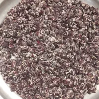لوبیا عروس بذری درجه یک