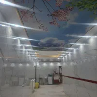 شراکت و همکاری