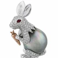 یک خرگوش در محدوده دندانپزشکان پیدا شده