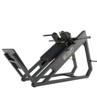 هاگ پا ریلی