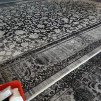 فرش زانیس  طوسی روشن وخاگستری تازه خریدم