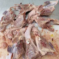 غذا حیوانات سگ و گربه اسکلت...