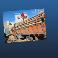 چوب چوب همه نوع چوب خریدارم