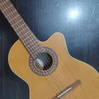 گیتار پارسی m5