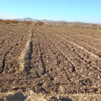 زمین کشاورزی و آب قنات