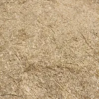 کاه کاهکوب در روستای دولتشاه
