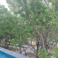 فروش ویلایی
