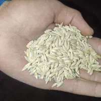 جو  آبی تمیز پر شده در کیسه
