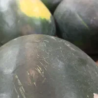 واگذاری-مغازه-میوه-فروشی