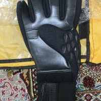 دستکش دروازه‌بانی