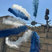 علامت تک تیغ چوب بلند