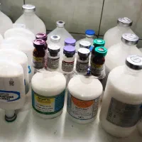 واکسن کبوتر