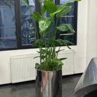 گلدان های شیک به روز