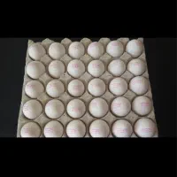 تخم مرغ عمده قنادی سوپری