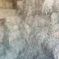 پرس یونجه بدون علف