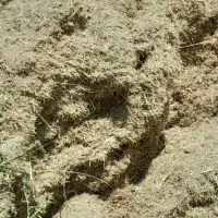 خار|لوازم جانبی حیوانات|زابل, |دیوار