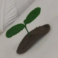 گیره سر