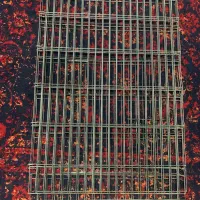 پارک  قفس سگ گربه خرگوش حیوان خانگی