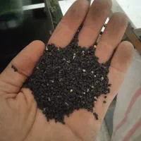 بذر پیاز زرد طلای