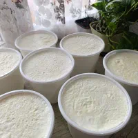 ماست گاومیش