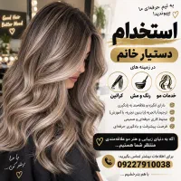 دستیار رنگ و مش