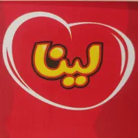 استخدام ویزیتور آقا بومی فیروزآباد در شرکت لینا